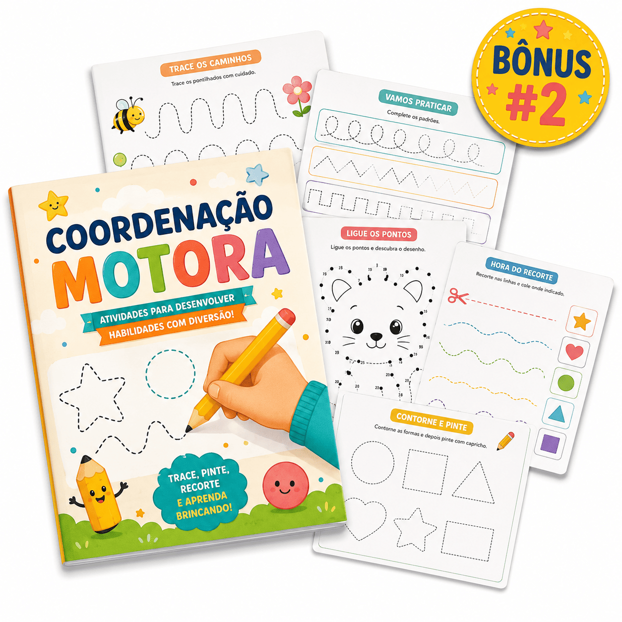 Coordenação Motora